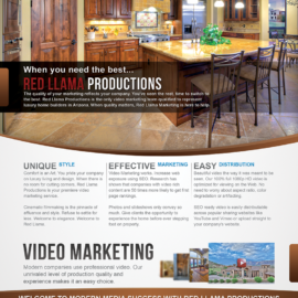 Corporate Flyer